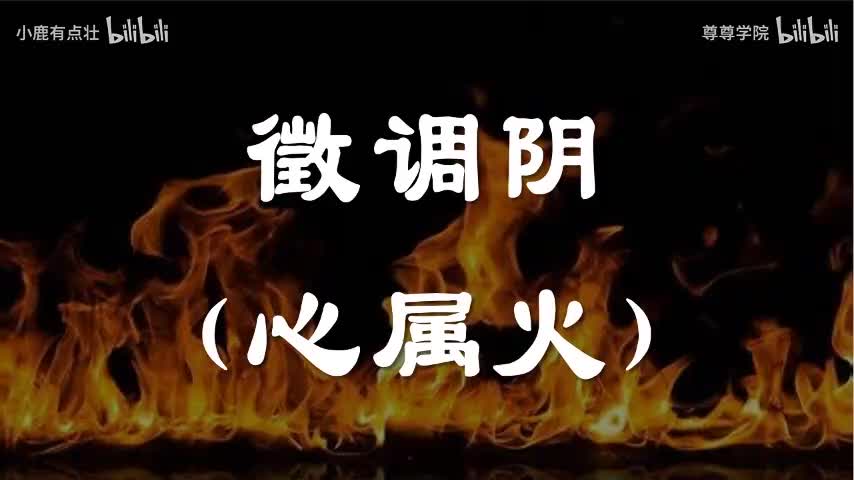 4-徵调阴（心属火）