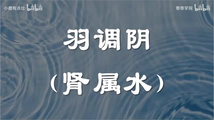 10-羽调阴（肾属水）