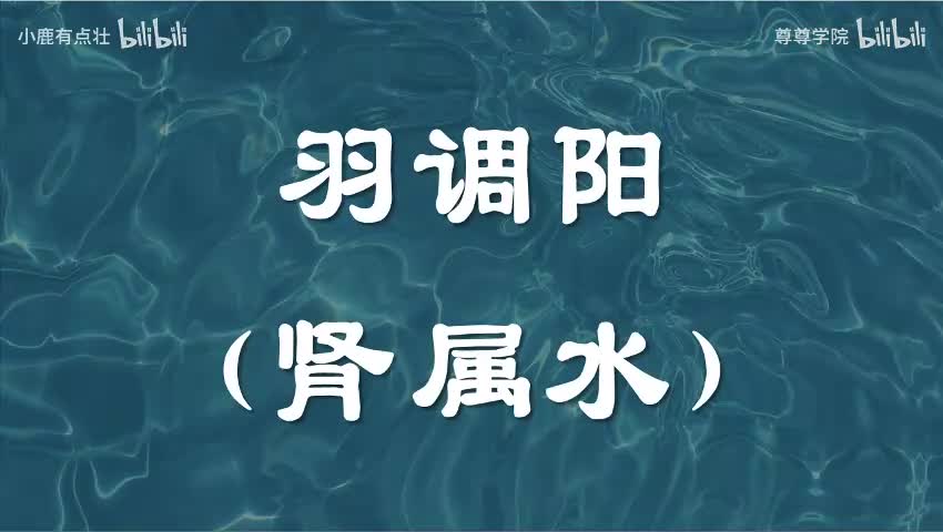 9-羽调阳（肾属水）
