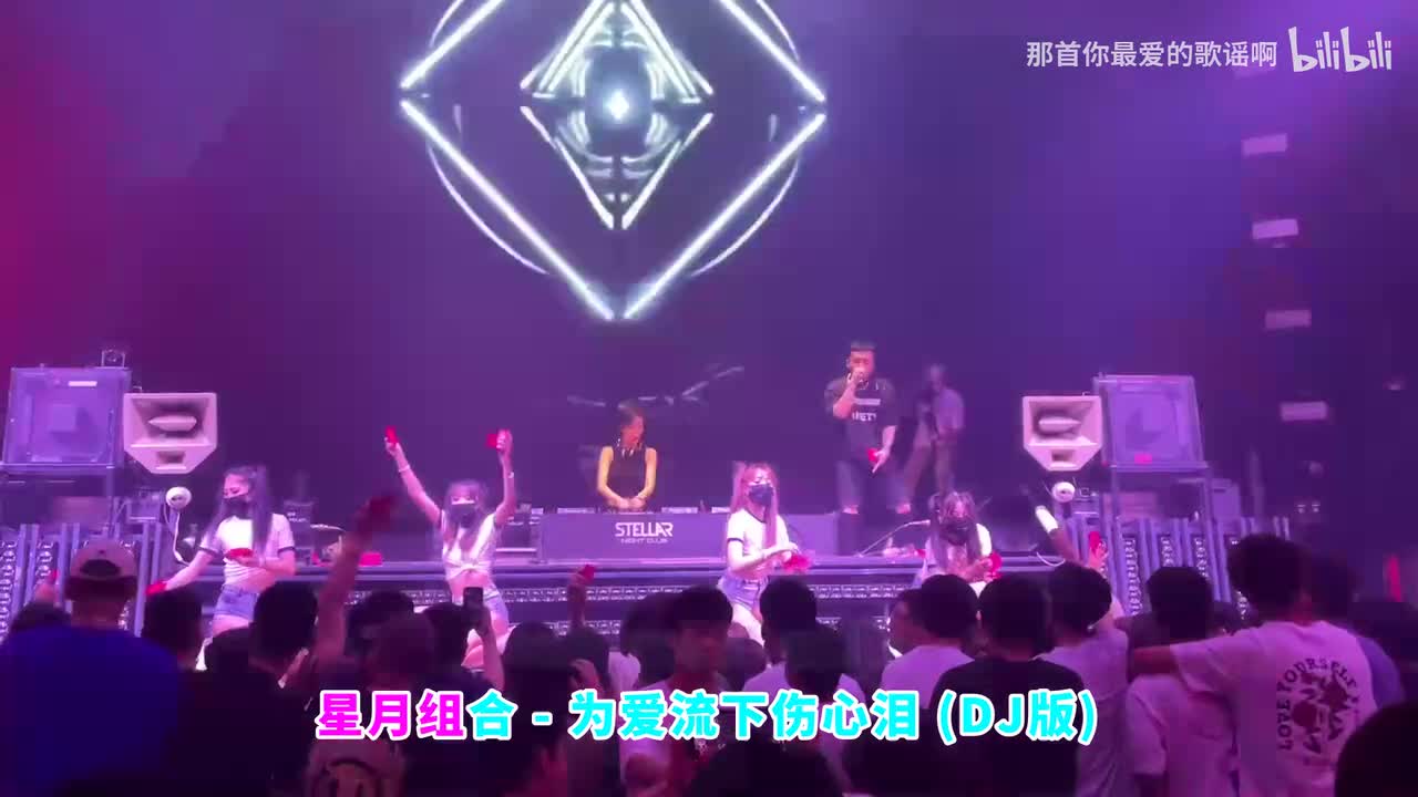 071. 为爱流下伤心泪 (DJ版) - 星月组合