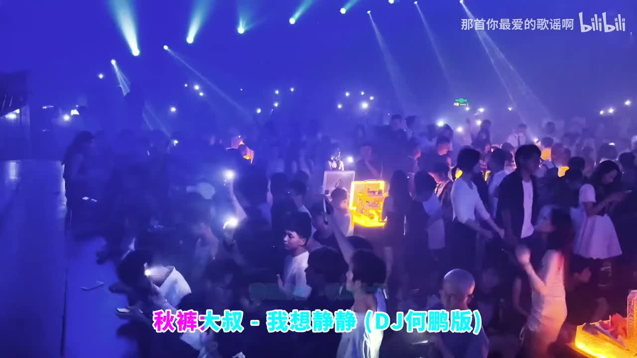 051. 我想静静 (DJ何鹏版) - 秋裤大叔