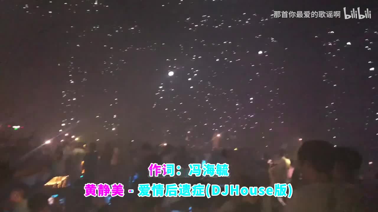 056. 爱情后遗症 (DJ House版) - 黄静美