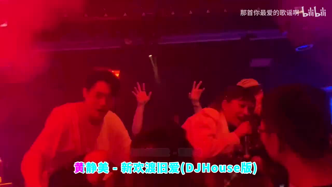 024. 新欢渡旧爱 (DJ House版) - 黄静美