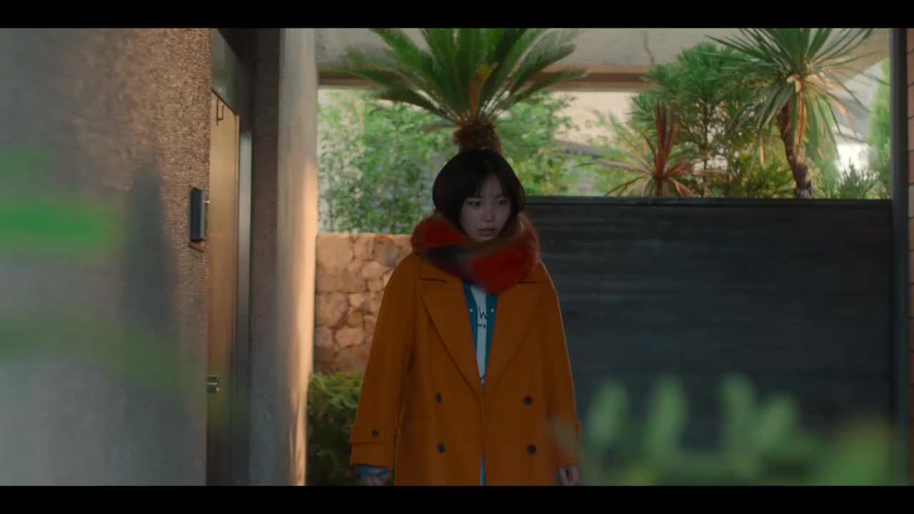 朱音初见藤谷的钢琴独奏