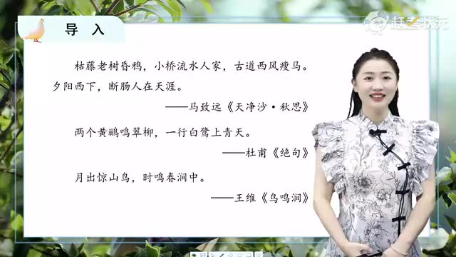 新人教版七年级语文上册-第5单元-03-我的白鸽（第一课时）