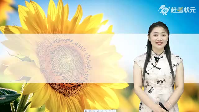 新人教版七年级语文上册-第3单元-06-再塑生命的人（第二课时）