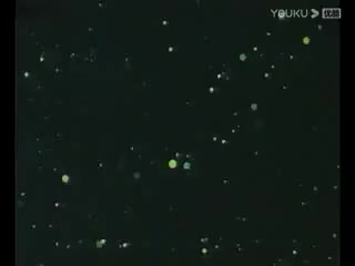 雷州戏剧《巧脱姻缘》全集