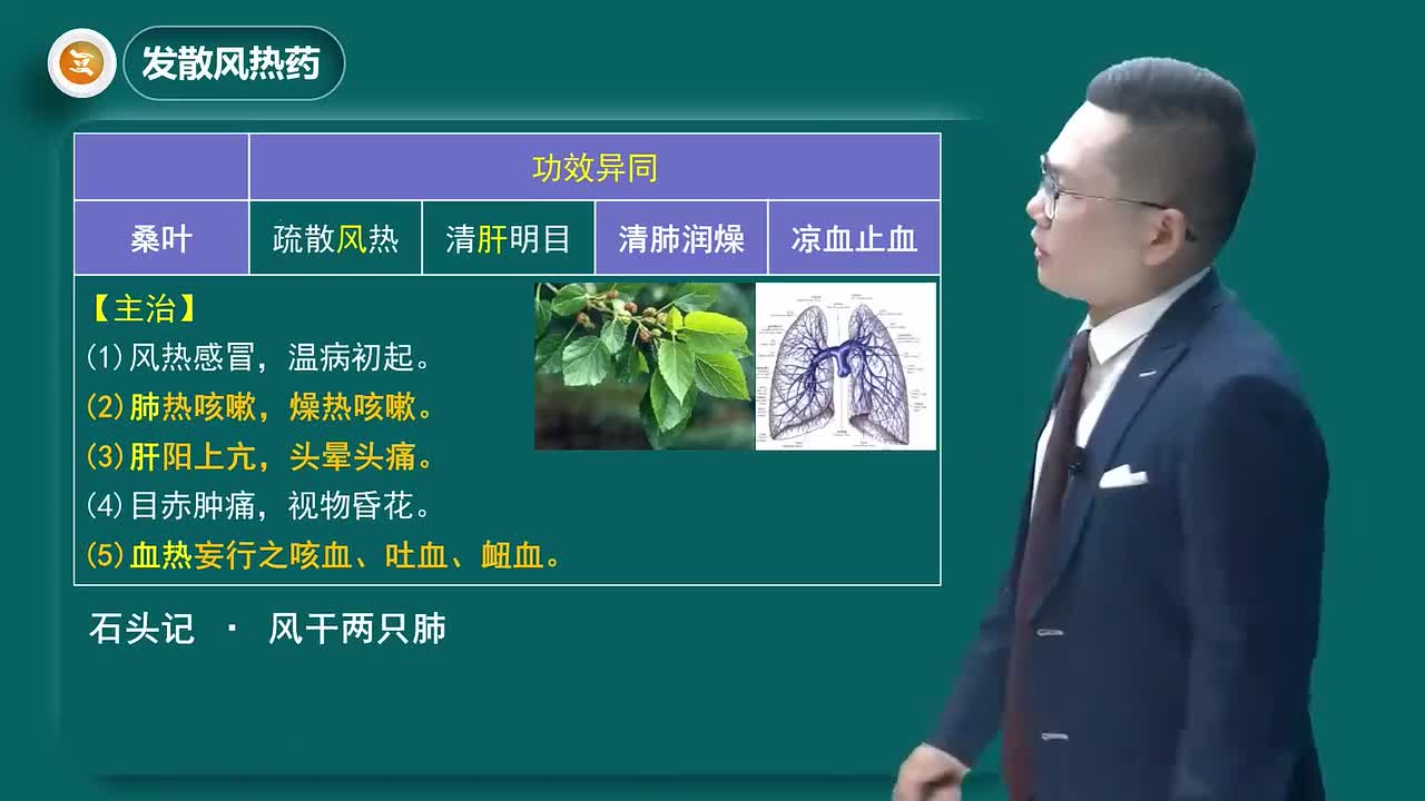 第一章05讲发散风热药02