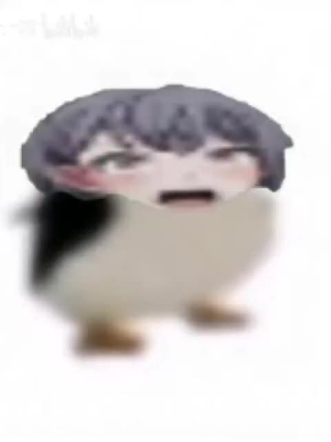 studio_video_1754064379399