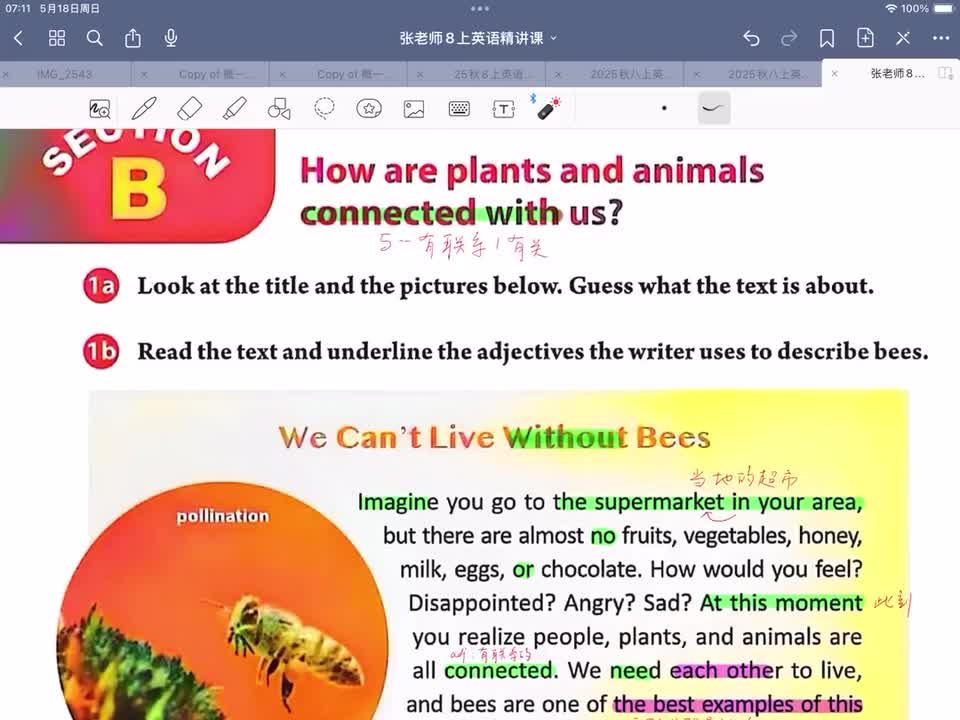 Unit 4 课文讲解 下