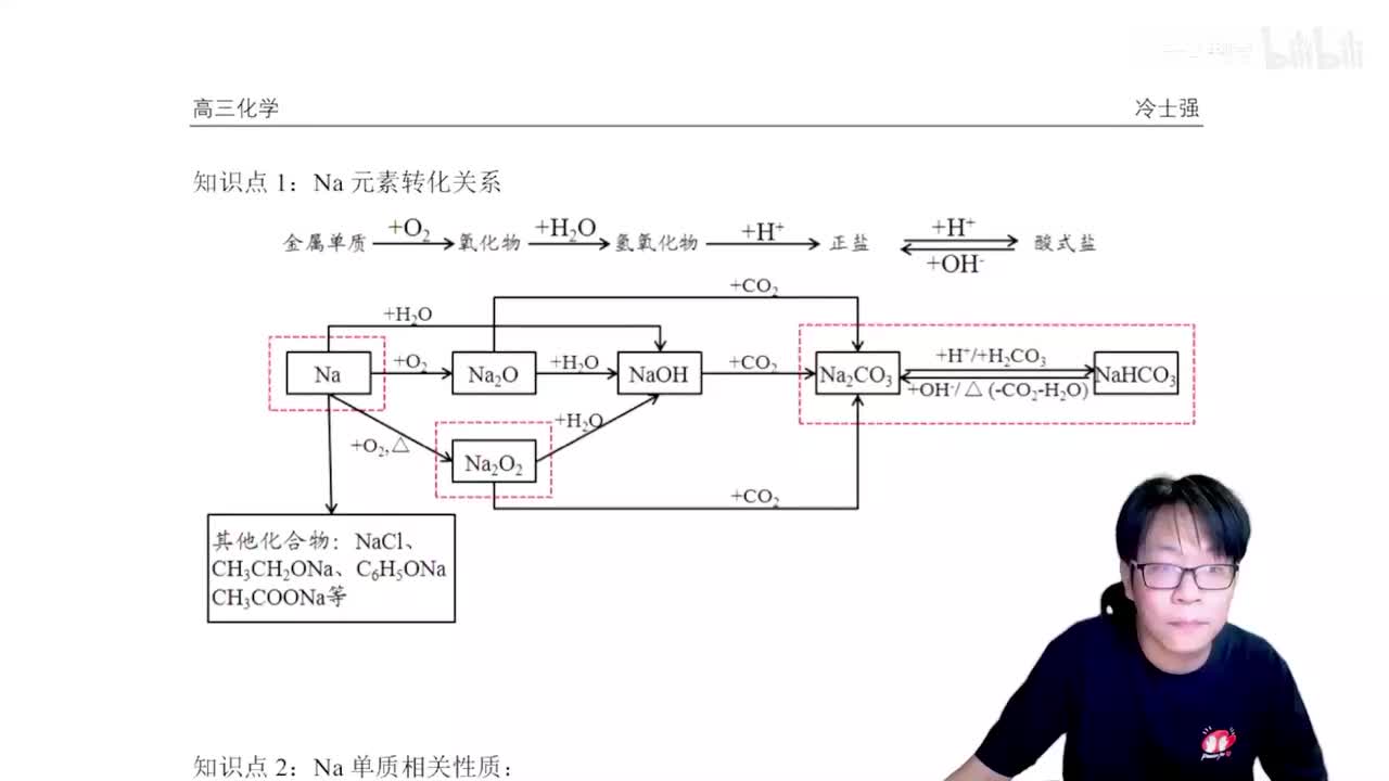 1.4.2.1 钠元素性质总述