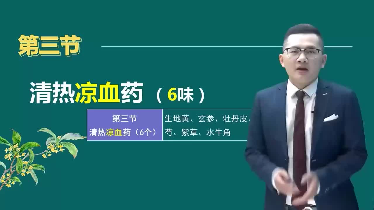 第二章04讲清热凉血药