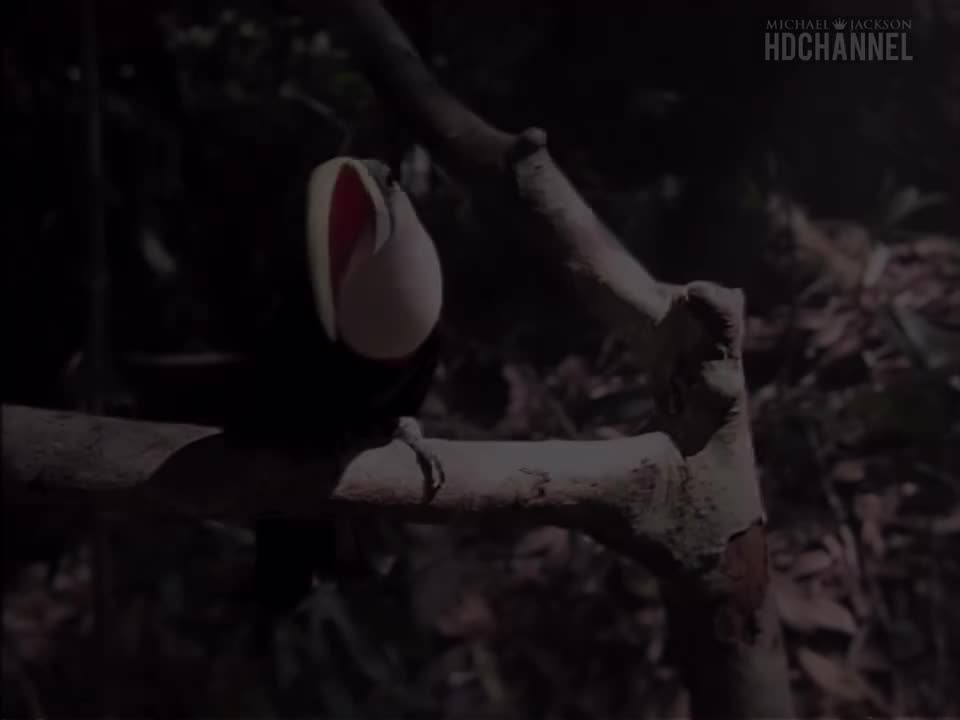 Earth Song《地球之歌》 (1995)