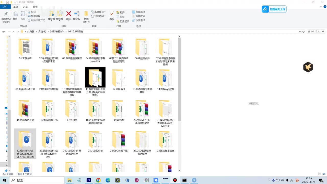 22.反向MR分析-疾病和基因进行MR分析的森林图