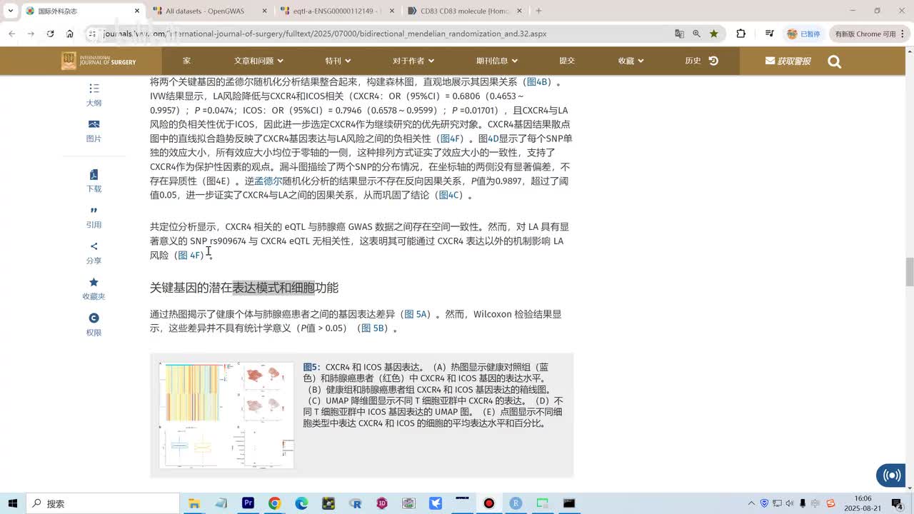 28.研究的基因分为阳性和阴性