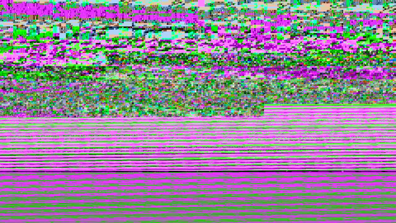 三年级（上） 00.引子：一本奇怪的旅行日记！