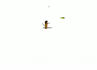 36.用餐中劝酒夹菜