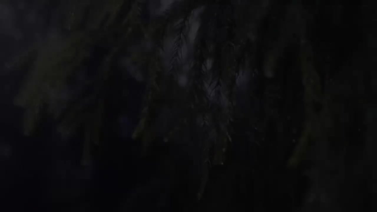 二年级（上） 02.无处不在的水精灵：我是什么