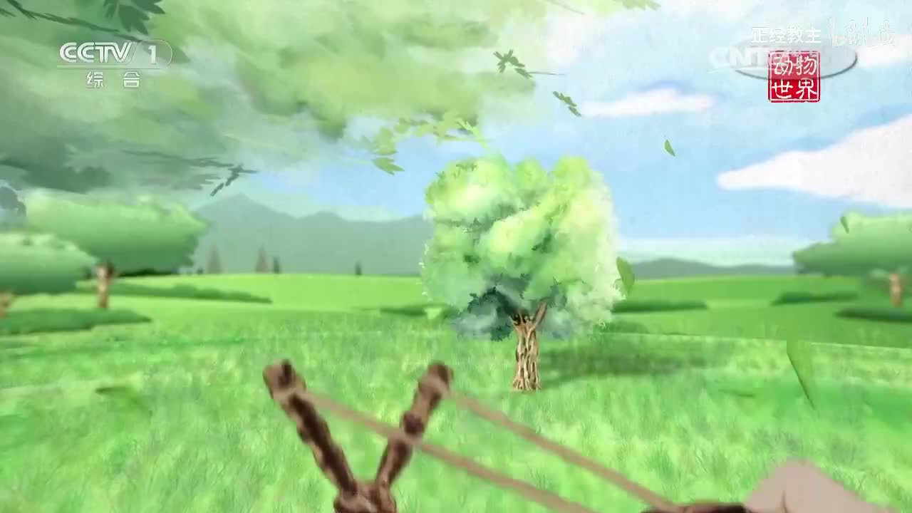 《动物世界》 20170410 无畏[超清版]