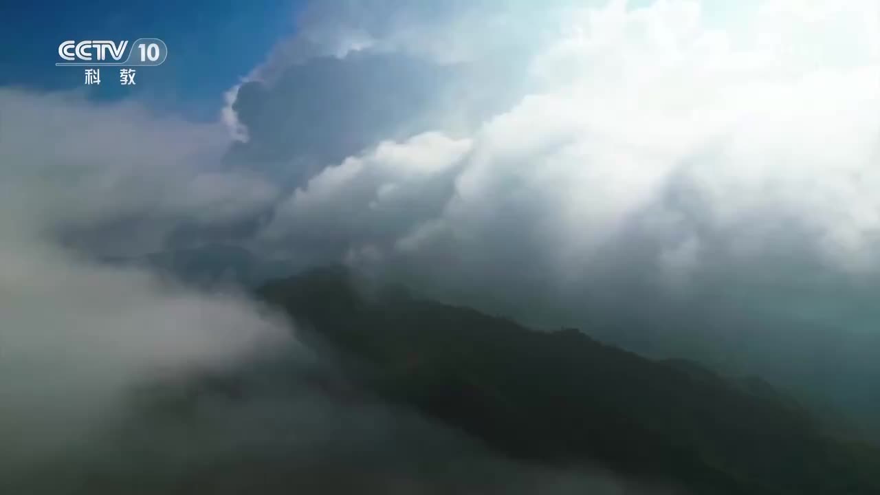 第2集 万物共生