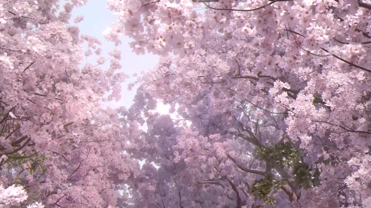 【PV】爱，触手可及