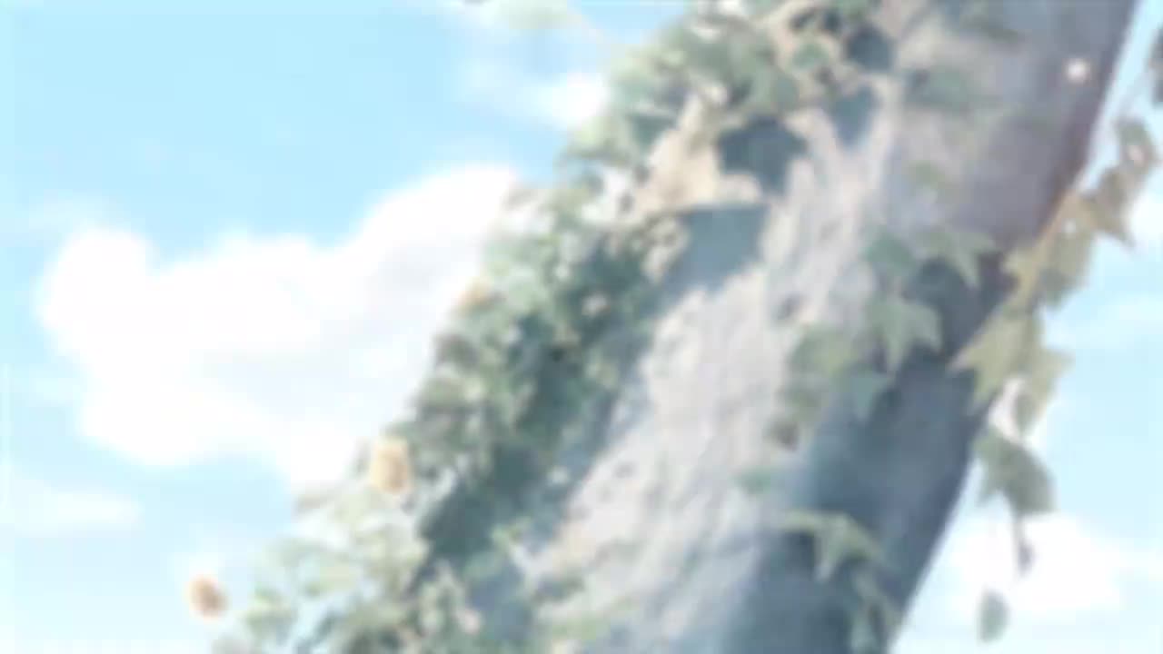 【PV】春天对花所做的事