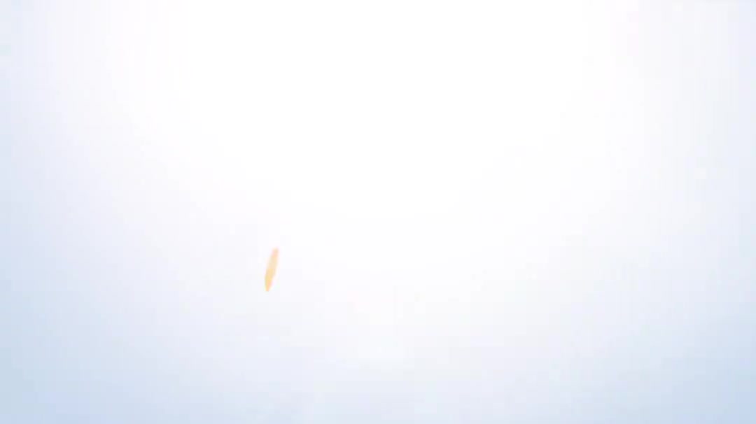 8.5设置中文以及添加TrueType字体