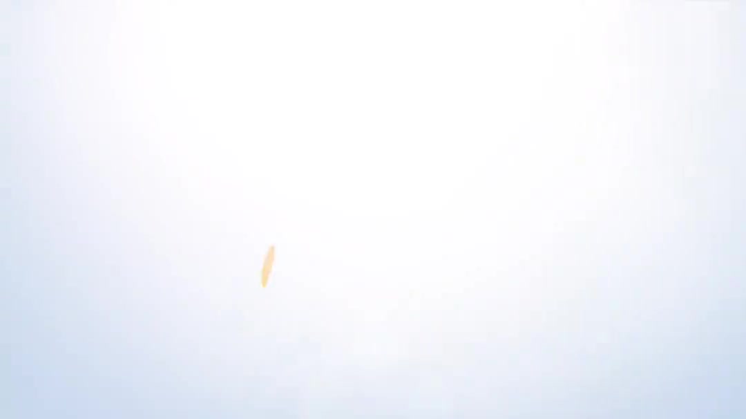 11.3Symbol符号定制