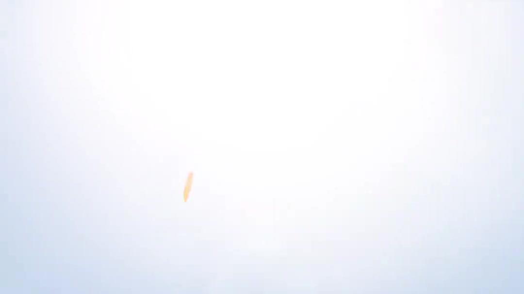 8.8.教据库隐藏项目名称更改