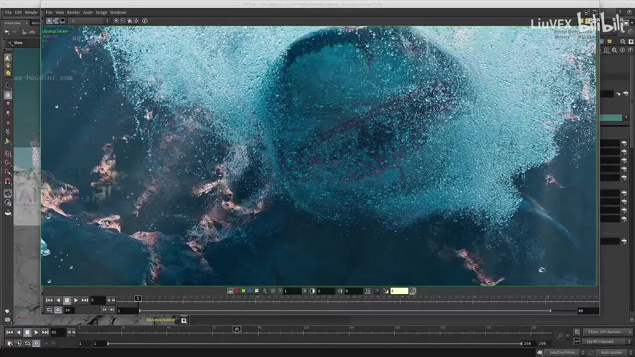 10-12. 鲨鱼镜头概述