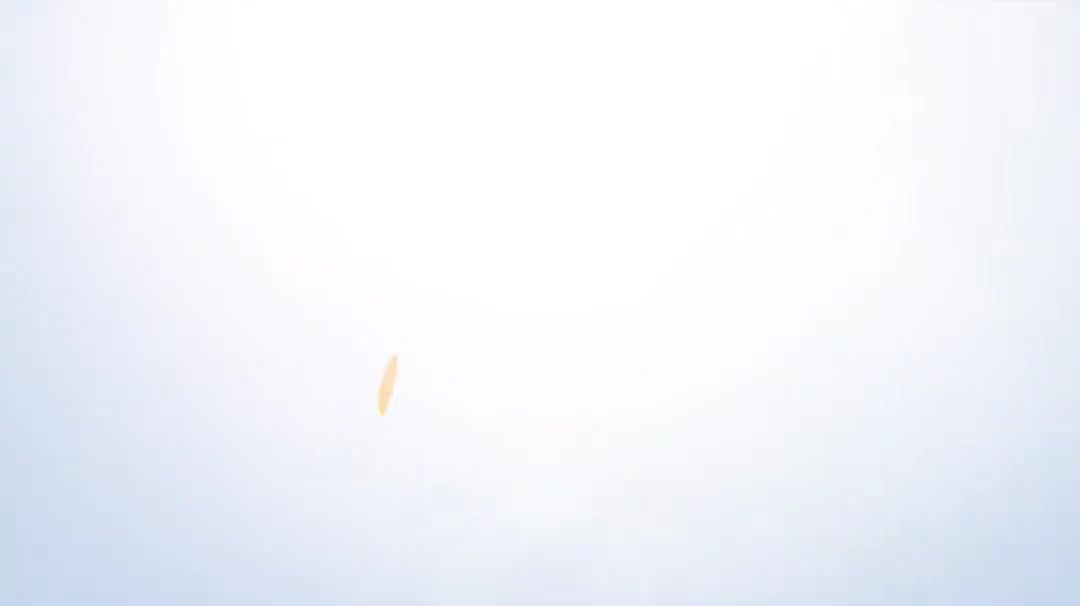 9.25通过Y型过滤器了解可变参数