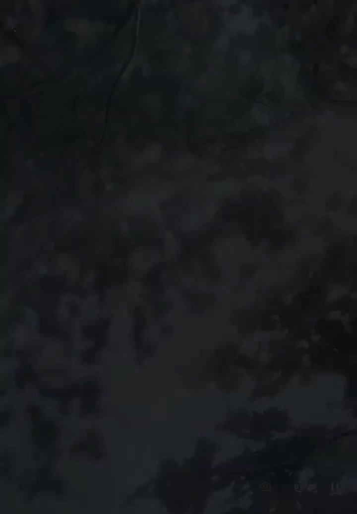 【心迹】至心栖之处