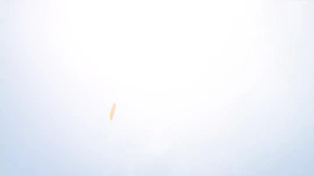 9.20保温等级与伴热等级的创建