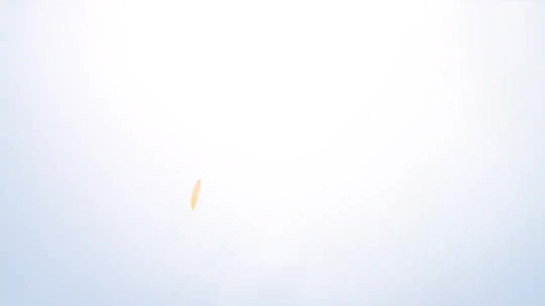 9.1命名规则个绍