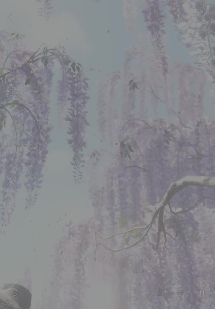 【心迹】盈盈摇曳