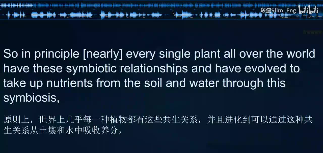 0182 科学美国人- 真菌为何对地球上的生命至关重要（下）