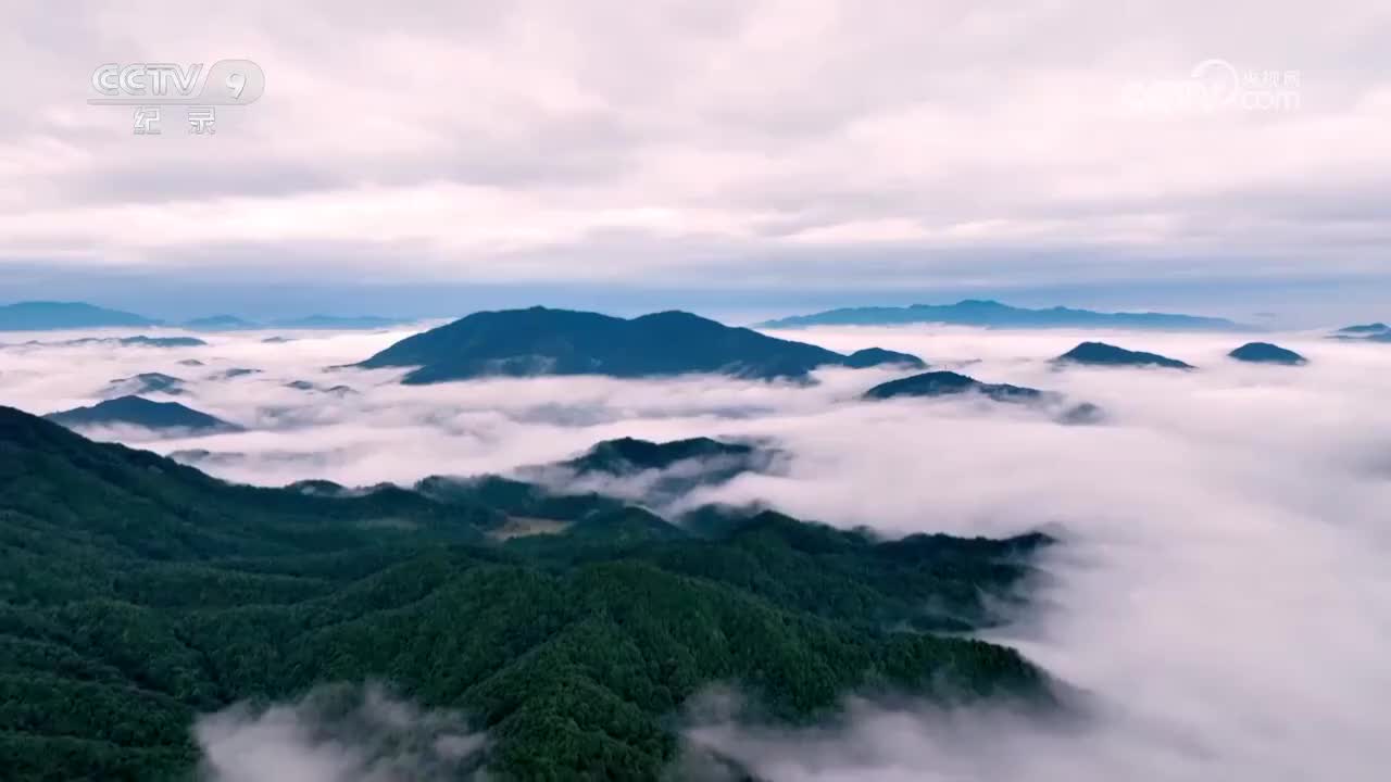 第4集 我见青山多妩媚