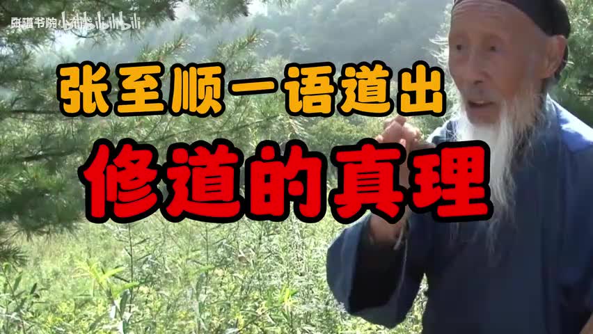 85-张至顺一语道出 修道的真理-480P 标清-AVC