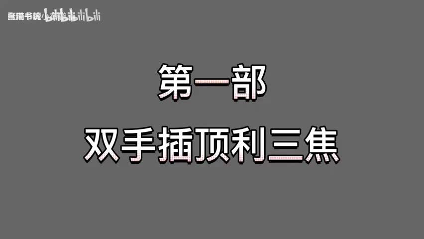 11-张至顺vs许理慧《纠功》，精讲带练版-480P 标清-AVC