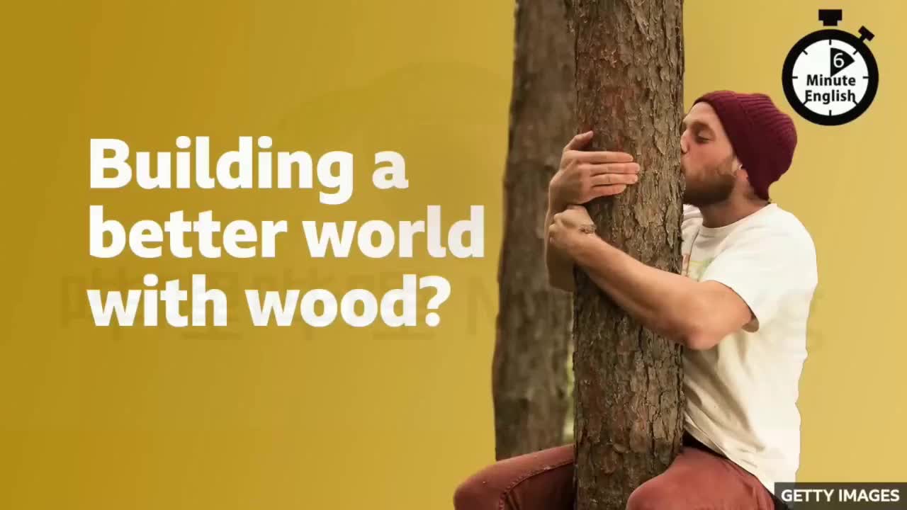 80.Building a better world with wood