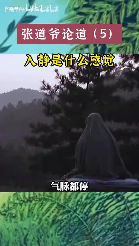 42-道爷亲述打坐入静后的所感所见-480P 标清-AVC