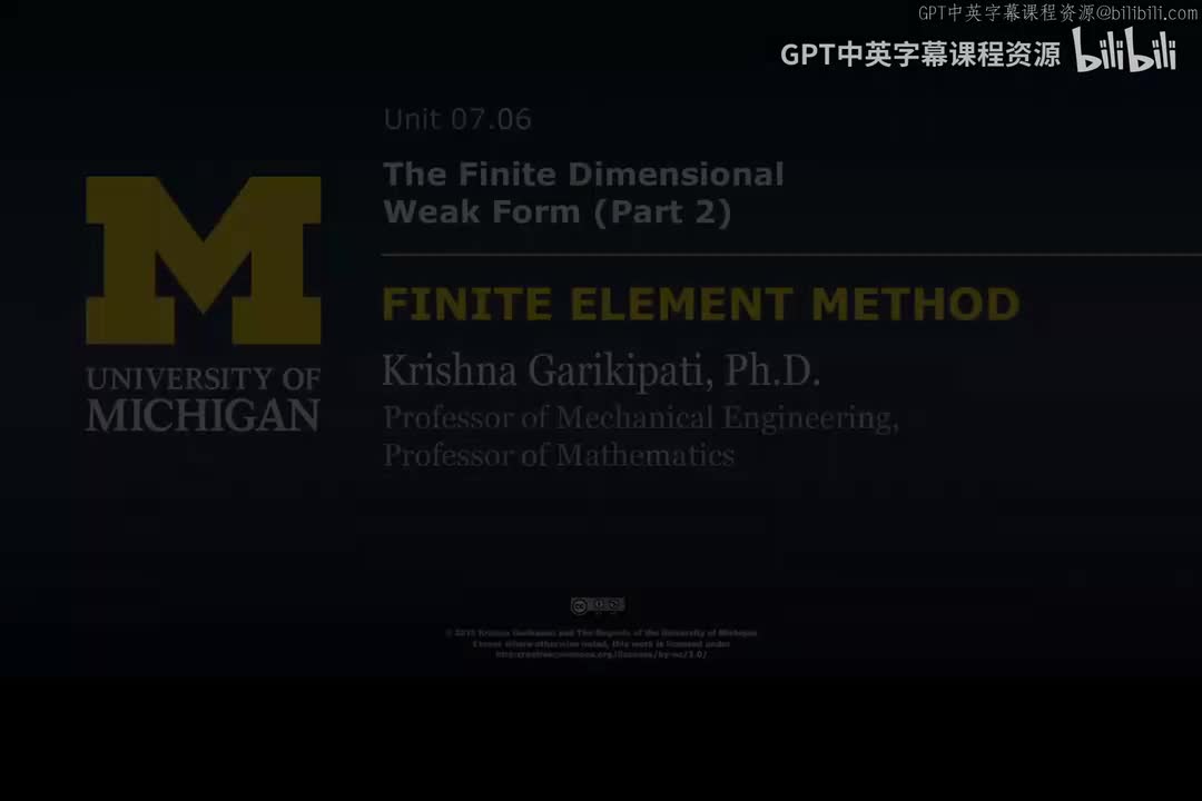 79_07 06 有限维弱形式 II.zh_en