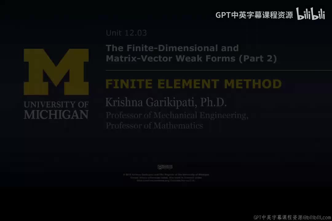 162_12 03 有限维与矩阵-向量弱形式 II.zh_en