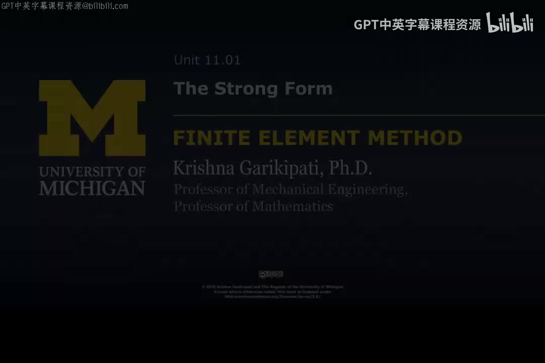 133_11 01 强形式.zh_en