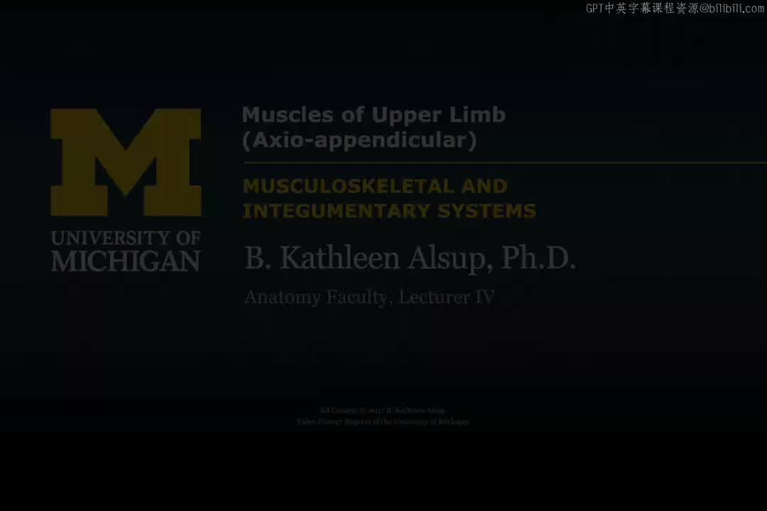 60_上肢肌肉：躯干-附肢肌.zh_en