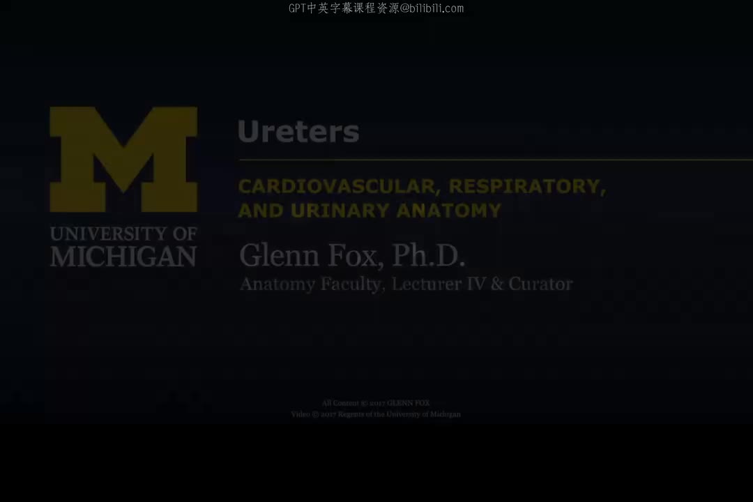 35_输尿管.zh_en