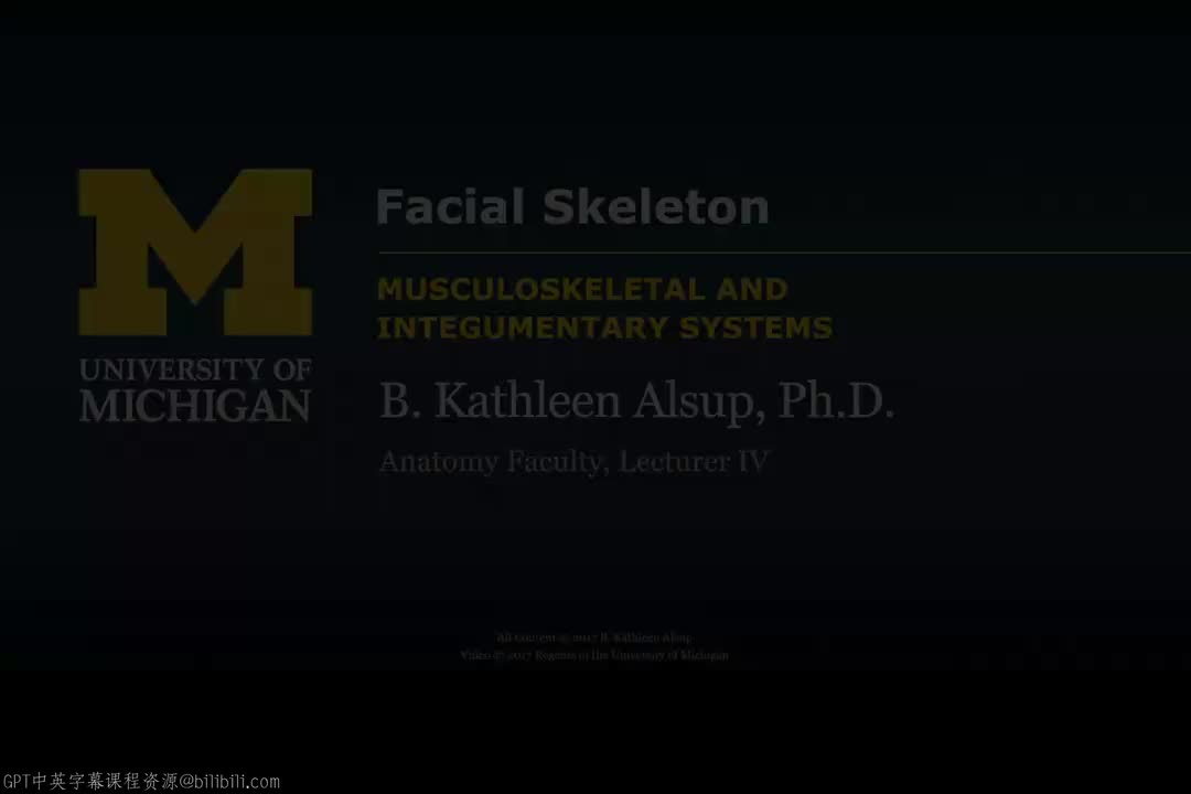 18_颅面骨骼.zh_en