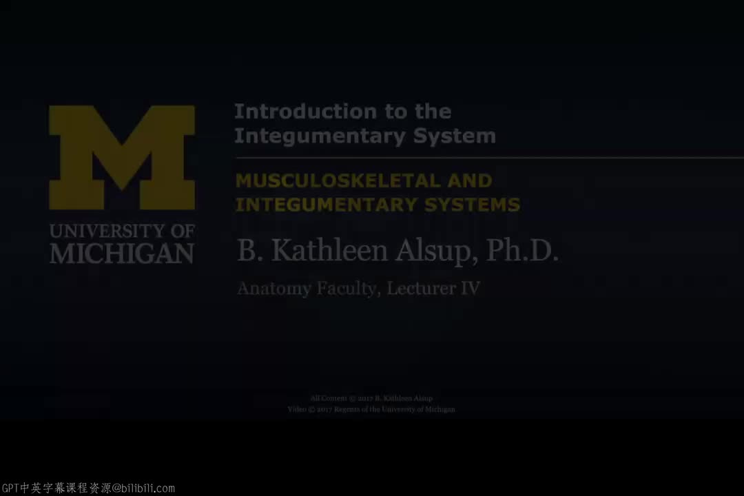 67_皮肤系统导论.zh_en