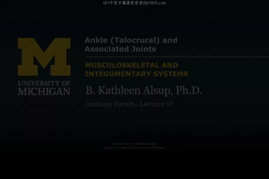 51_踝关节（距小腿关节）及相关关节.zh_en