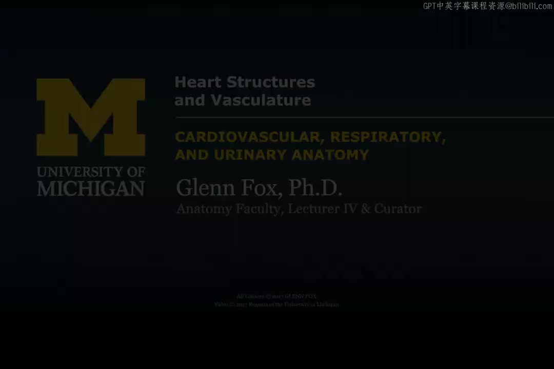 14_心脏结构与血管系统演示.zh_en